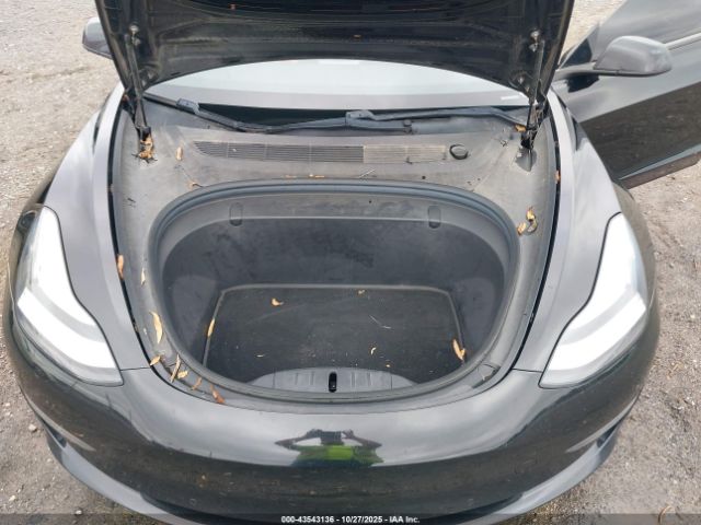 2019 TESLA MODEL 3 5YJ3E1EB9KF199097 Photo 9