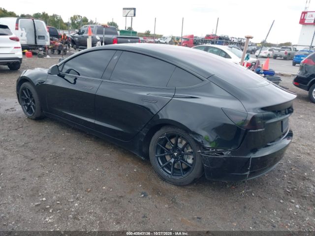 2019 TESLA MODEL 3 5YJ3E1EB9KF199097 Photo 2