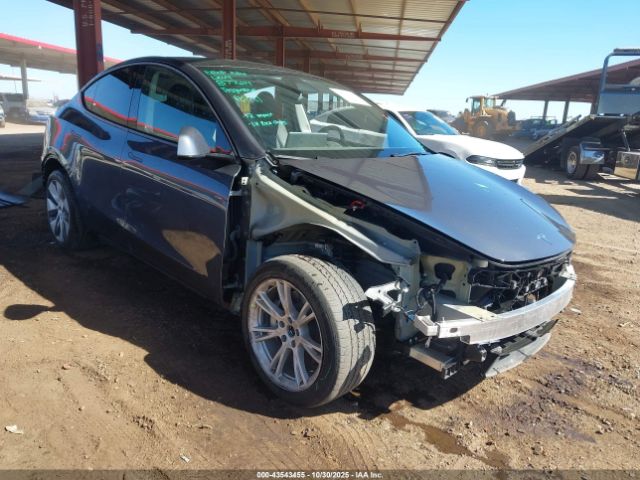 2023 TESLA MODEL Y 7SAYGDEE0PF877614 Photo 0