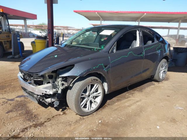 2023 TESLA MODEL Y 7SAYGDEE0PF877614 Photo 1