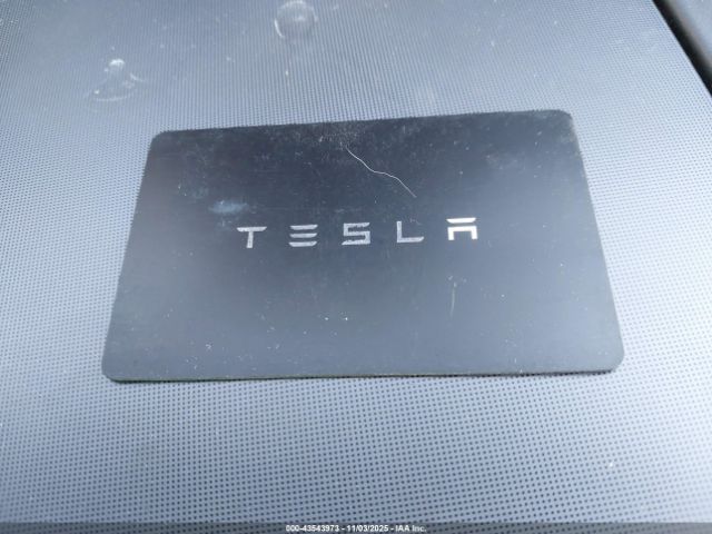 2025 TESLA MODEL 3 5YJ3E1EB0SF952001 Photo 10