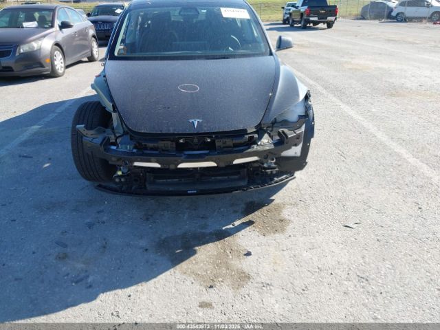 2025 TESLA MODEL 3 5YJ3E1EB0SF952001 Photo 5