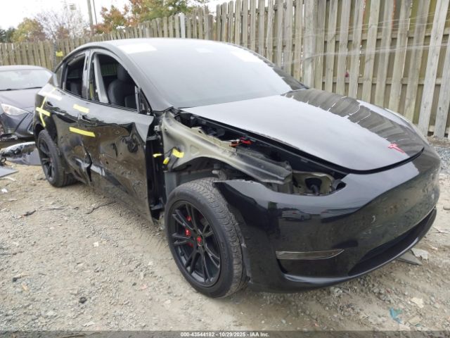 2022 TESLA MODEL Y 7SAYGAEE2NF307710