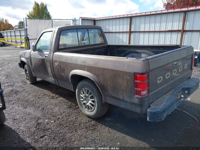 1989 DODGE DAKOTA 1B7FL26X5KS160822 Photo 2