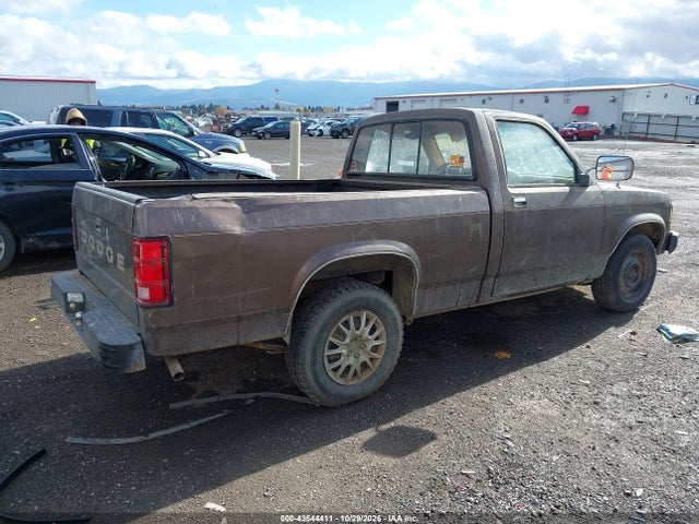 1989 DODGE DAKOTA 1B7FL26X5KS160822 Photo 3
