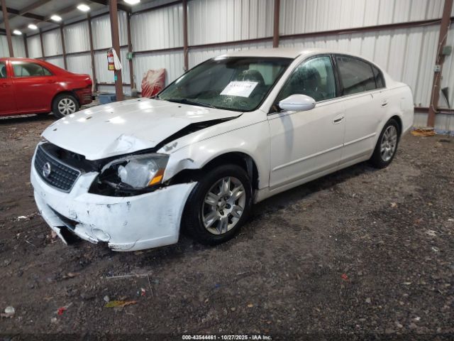 2006 NISSAN ALTIMA 1N4AL11D86N377146 Photo 1
