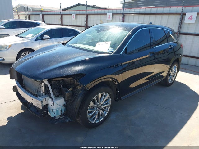 2024 INFINITI QX50 3PCAJ5AA2RF100928 Photo 1