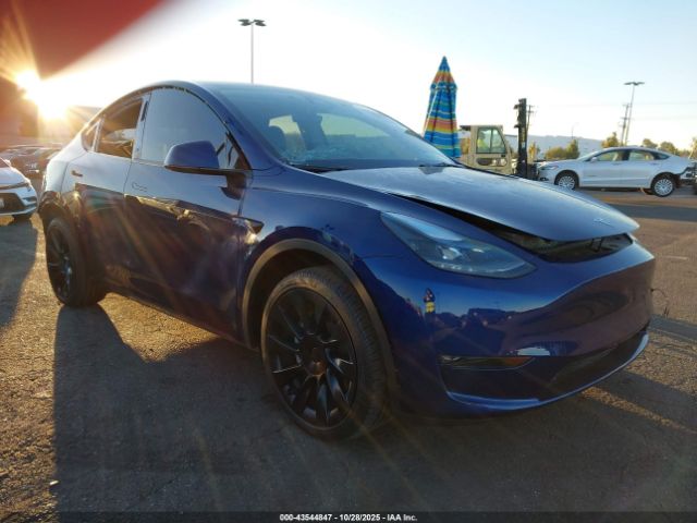 2023 TESLA MODEL Y 7SAYGDEE0PF929050