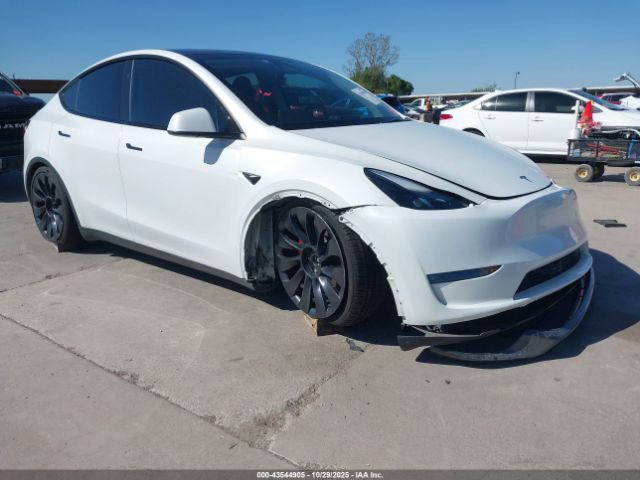 2023 TESLA MODEL Y 7SAYGDEF6PF801002