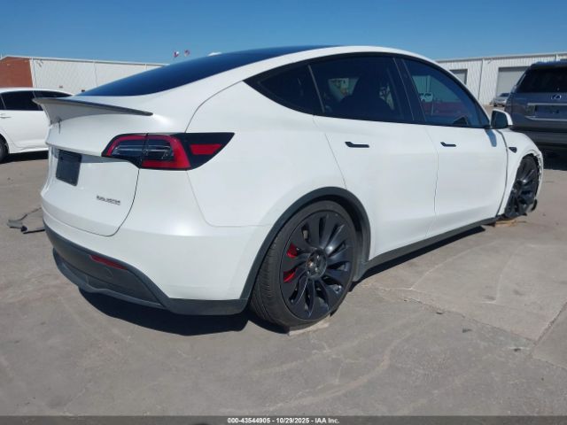 2023 TESLA MODEL Y 7SAYGDEF6PF801002 Photo 3