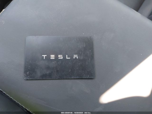 2025 TESLA MODEL 3 5YJ3E1EA9SF019270 Photo 10