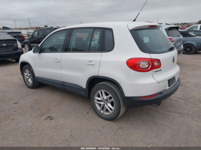 2011 VOLKSWAGEN TIGUAN WVGAV7AX4BW560433 Photo 2