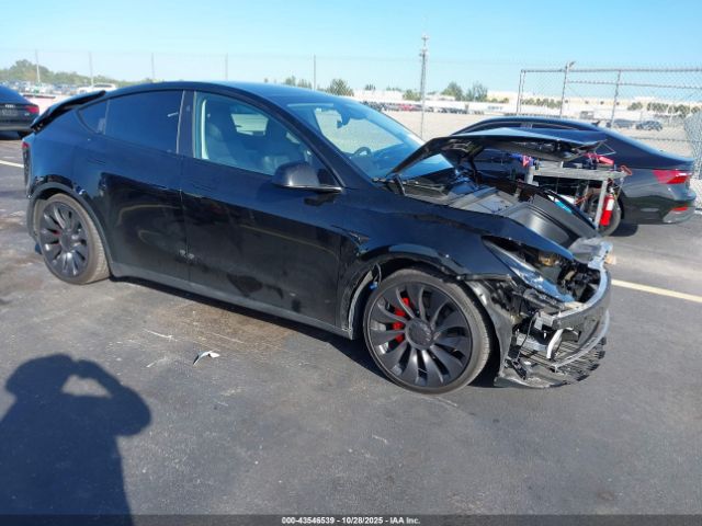 2024 TESLA MODEL Y 7SAYGDEF7RF042587