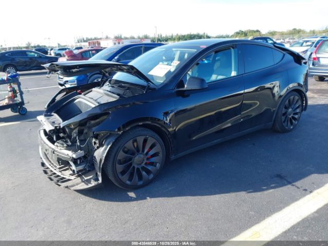 2024 TESLA MODEL Y 7SAYGDEF7RF042587 Photo 1
