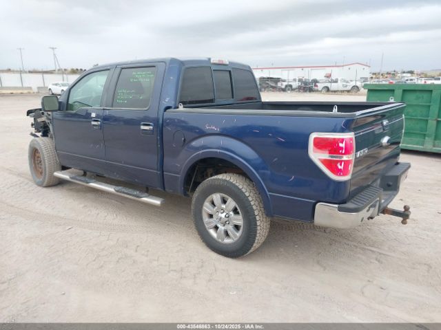 2010 FORD F-150 1FTFW1EV6AKE16546 Photo 2