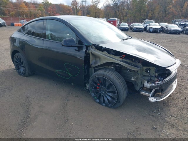 2025 TESLA MODEL Y 7SAYGDEF6SA351549 Photo 0