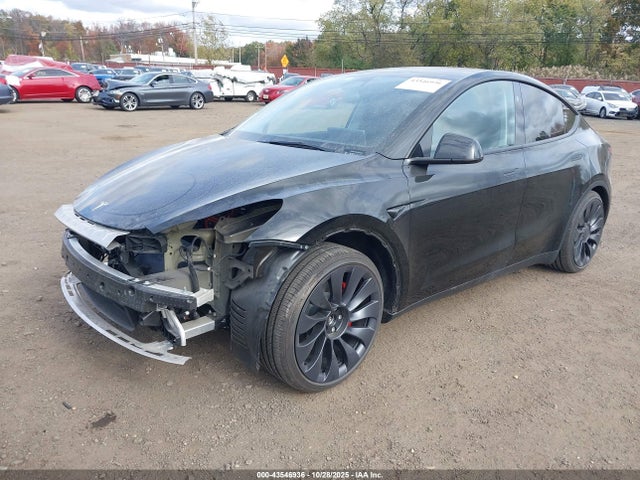 2025 TESLA MODEL Y 7SAYGDEF6SA351549 Photo 5