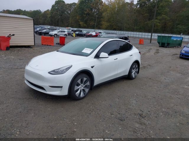 2022 TESLA MODEL Y 7SAYGAEEXNF519044 Photo 1