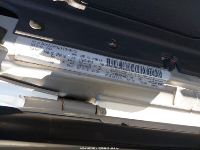 2003 JEEP WRANGLER 1J4FA69S83P340971 Photo 8