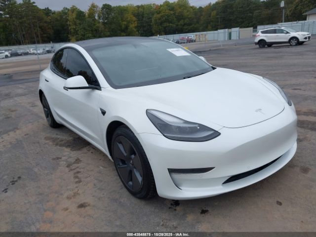 2021 TESLA MODEL 3 5YJ3E1EA0MF030239 Photo 0