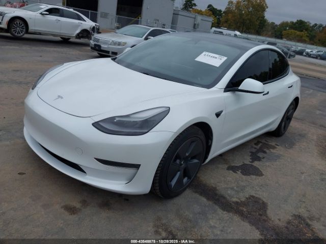 2021 TESLA MODEL 3 5YJ3E1EA0MF030239 Photo 1
