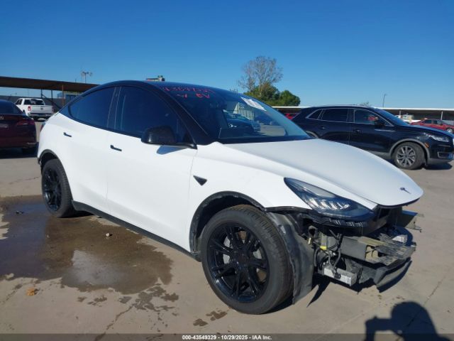 2021 TESLA MODEL Y 5YJYGAEE3MF160003 Photo 0