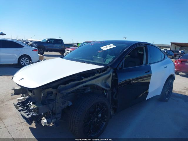 2021 TESLA MODEL Y 5YJYGAEE3MF160003 Photo 1