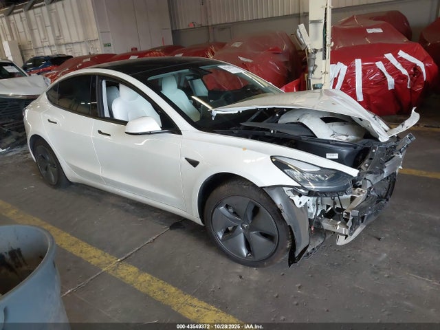 2020 TESLA MODEL 3 5YJ3E1EA9LF745986 Photo 0