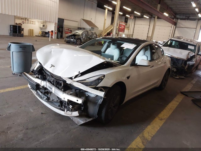 2020 TESLA MODEL 3 5YJ3E1EA9LF745986 Photo 1