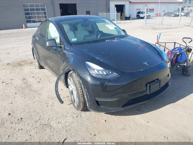 2021 TESLA MODEL Y 5YJYGDEE8MF081069 Photo 0