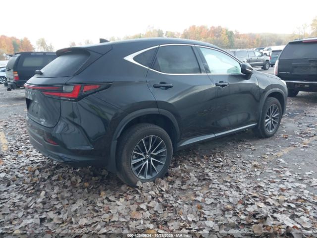 2023 LEXUS NX 350 2T2GGCEZ3PC023237 Photo 3