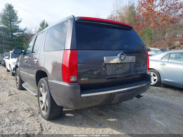 2011 CADILLAC ESCALADE 1GYS4BEF0BR268223 Photo 2