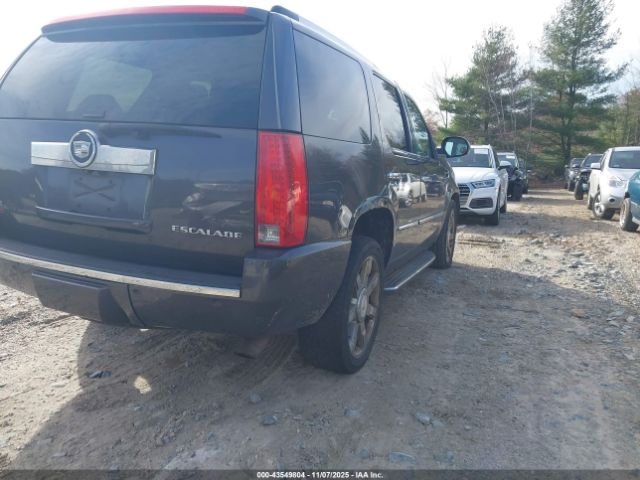 2011 CADILLAC ESCALADE 1GYS4BEF0BR268223 Photo 3