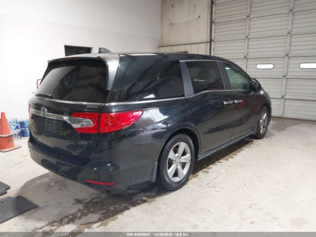 2019 HONDA ODYSSEY 5FNRL6H71KB046170 Photo 3
