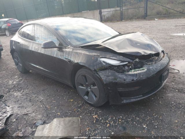 2023 TESLA MODEL 3 5YJ3E1EAXPF492165
