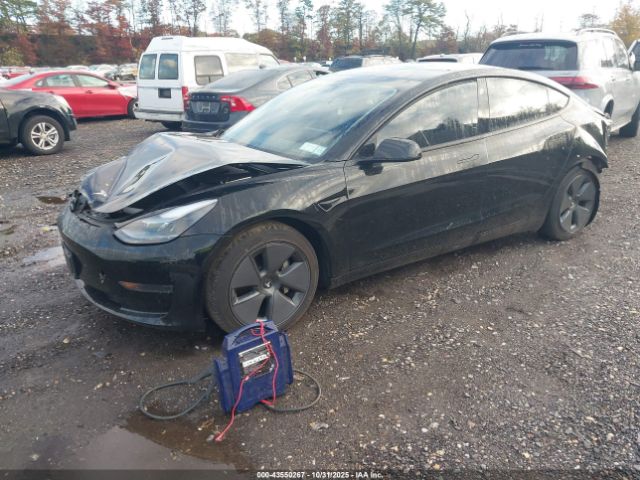 2023 TESLA MODEL 3 5YJ3E1EAXPF492165 Photo 1