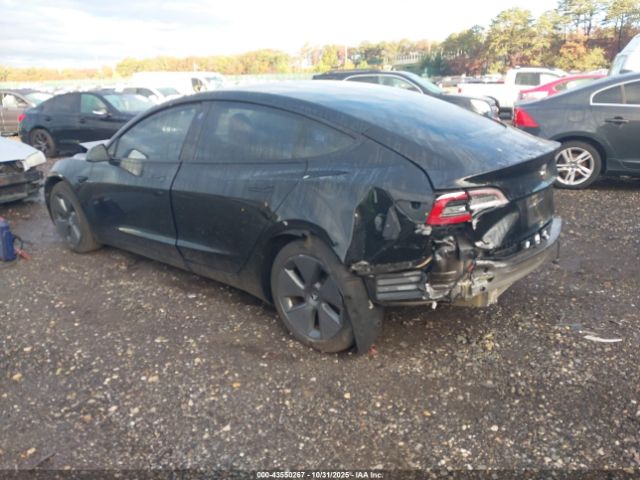 2023 TESLA MODEL 3 5YJ3E1EAXPF492165 Photo 2