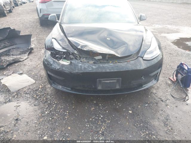 2023 TESLA MODEL 3 5YJ3E1EAXPF492165 Photo 5