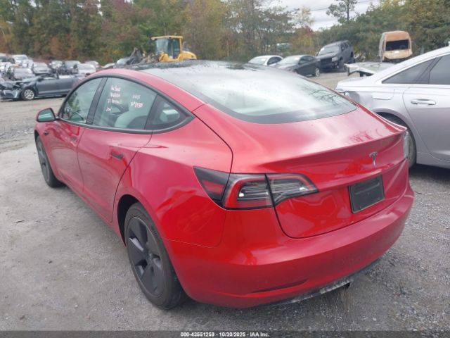 2023 TESLA MODEL 3 5YJ3E1EA7PF693618 Photo 2