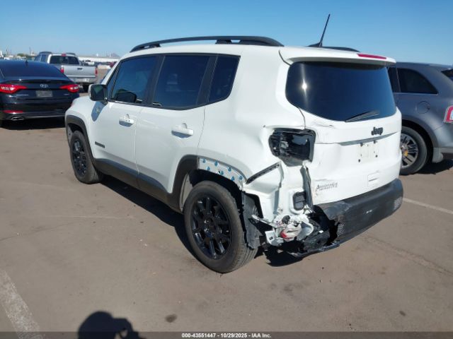 2019 JEEP RENEGADE ZACNJABB3KPK59602 Photo 2