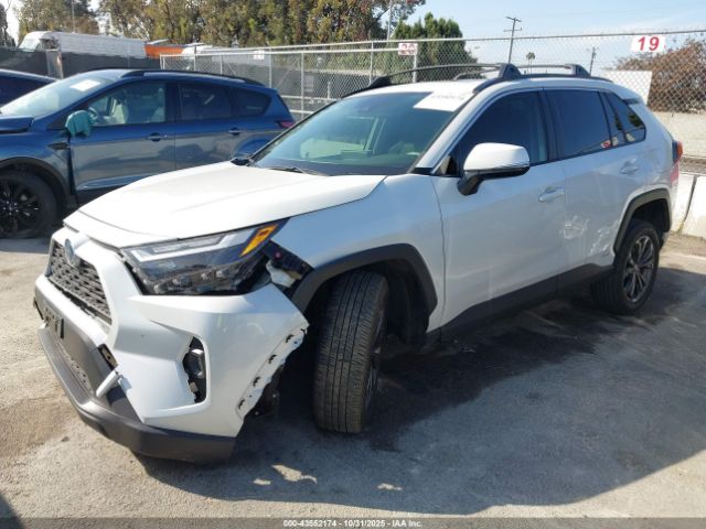 2024 TOYOTA RAV4 HYBRID JTMB6RFV7RD550381 Photo 1