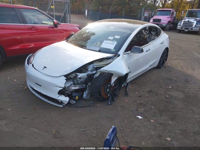 2020 TESLA MODEL 3 5YJ3E1EC0LF603267 Photo 1