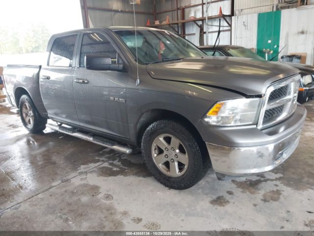 2010 DODGE RAM 1500 1D7RB1CP0AS132381