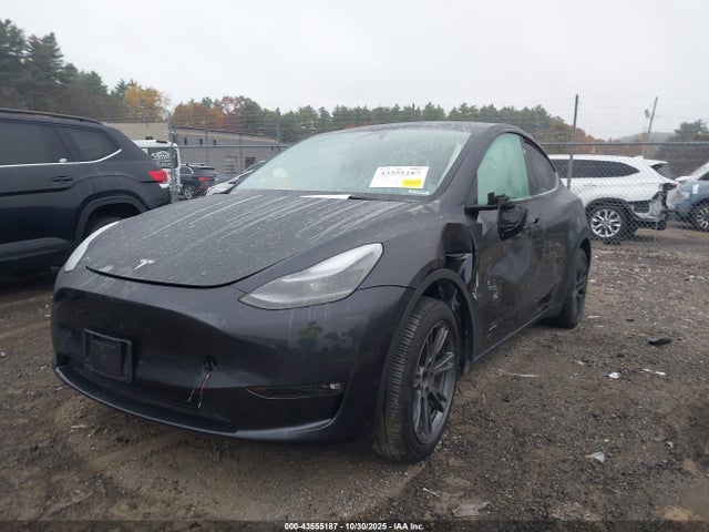 2025 TESLA MODEL Y 7SAYGAEE5SF263181 Photo 1