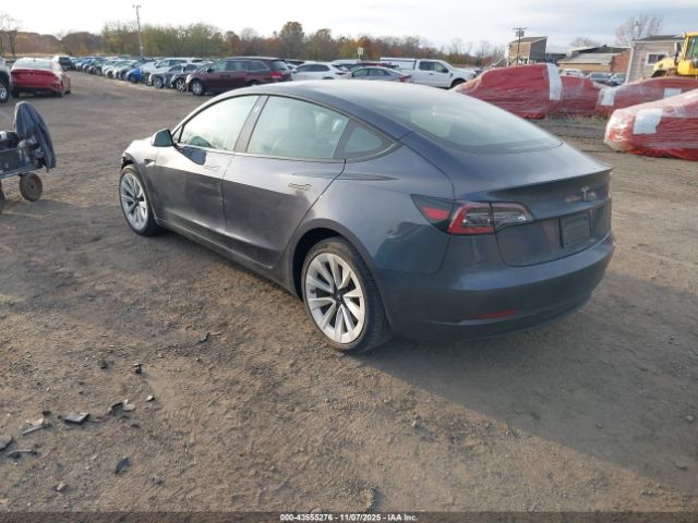 2023 TESLA MODEL 3 5YJ3E1EA7PF470995 Photo 2