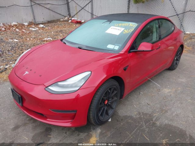 2021 TESLA MODEL 3 5YJ3E1EA5MF854608 Photo 1