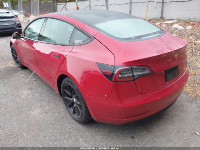 2021 TESLA MODEL 3 5YJ3E1EA5MF854608 Photo 2