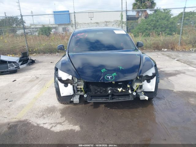 2025 TESLA MODEL 3 5YJ3E1EA0SF931995 Photo 5