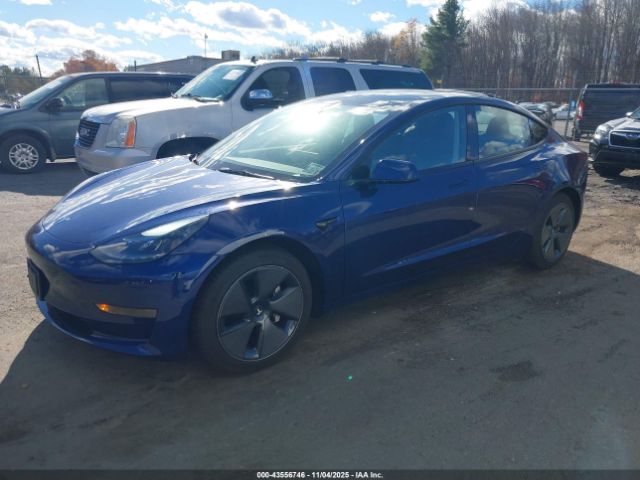 2023 TESLA MODEL 3 5YJ3E1EAXPF663139 Photo 1
