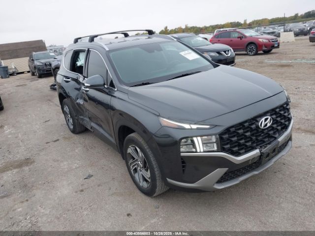 2023 HYUNDAI SANTA FE 5NMS2DAJ7PH630898
